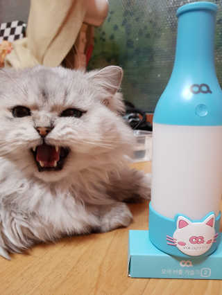 이영실님이 올린 리뷰 사진 2