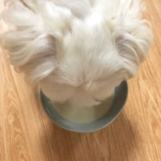daaaanb님이 올린 리뷰 사진 3