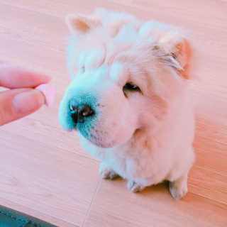쮜님님이 올린 리뷰 사진 1