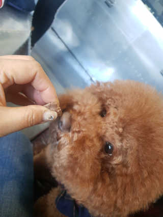 쪼꼬짱님이 올린 리뷰 사진 3