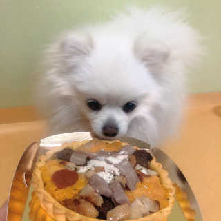 10님이 올린 리뷰 사진 3