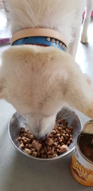 Jenny님이 올린 리뷰 사진 4