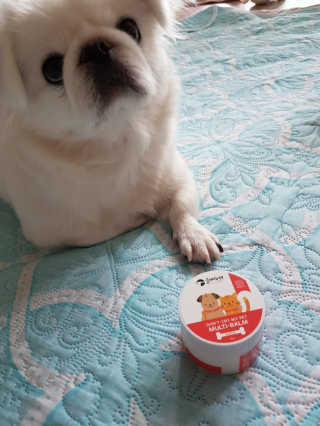 정나영님이 올린 리뷰 사진 2