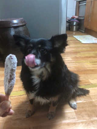 DaKeunSong님이 올린 리뷰 사진 1