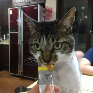 다니당근님이 올린 리뷰 사진 1
