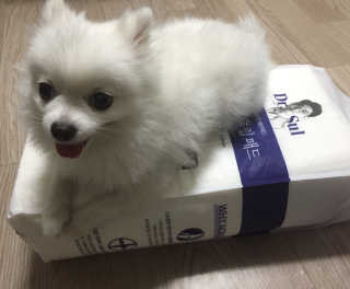 horim님이 올린 리뷰 사진 2