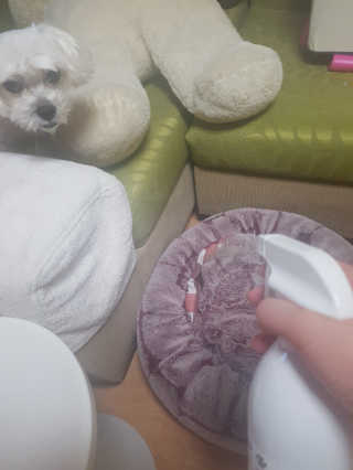 KyungnanDianaPark님이 올린 리뷰 사진 2