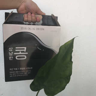 돼지혜님이 올린 리뷰 사진 3