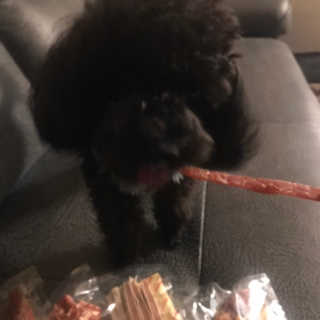 [펫토리아] 뚝딱뚝딱 400g 강아지 간식 베스트5종 — 5점을 준 리뷰어가 2019년 1월 올린 사용 사진