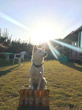 유르링님이 올린 리뷰 사진 1