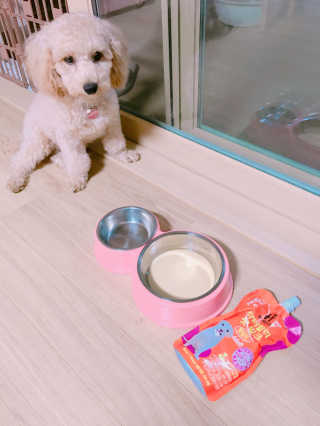DaeunKim님이 올린 리뷰 사진 1