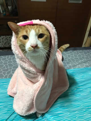 하린님이 올린 리뷰 사진 3