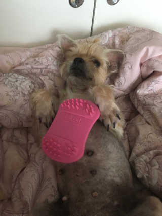 아라아빠님이 올린 리뷰 사진 3