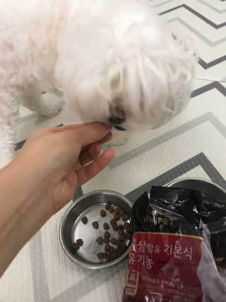 지니펫 해피박스_홍삼함유 북어농축액분말+사료+굿즈 — 5점을 준 리뷰어가 2018년 8월 올린 사용 사진