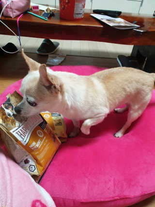 꽃사과님이 올린 리뷰 사진 2