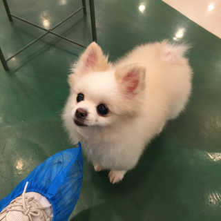 주히님이 올린 리뷰 사진 3