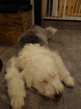 정긍정님이 올린 리뷰 사진 1