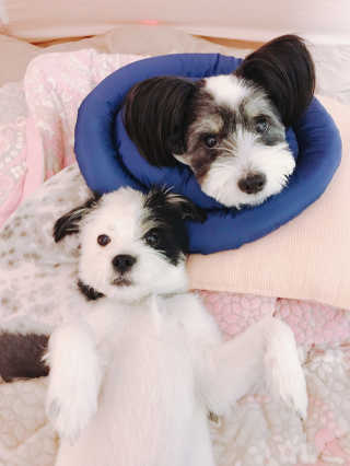 YunjoungKim님이 올린 리뷰 사진 1