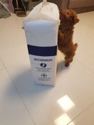 띠옹이님이 올린 리뷰 사진 2