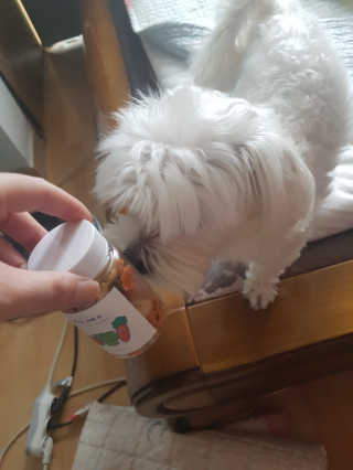 KyungnanDianaPark님이 올린 리뷰 사진 4