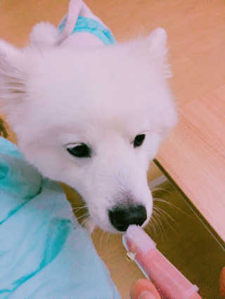 김아름님이 올린 리뷰 사진 1