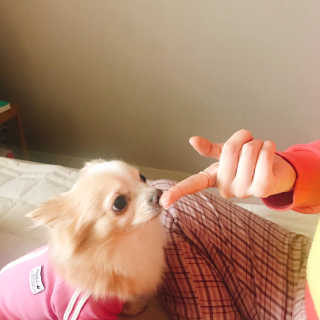 욜랭이님이 올린 리뷰 사진 2