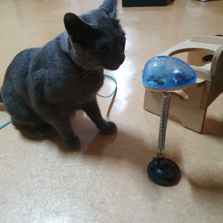 율집사님이 올린 리뷰 사진 1