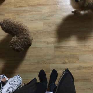 tutuna님이 올린 리뷰 사진 1