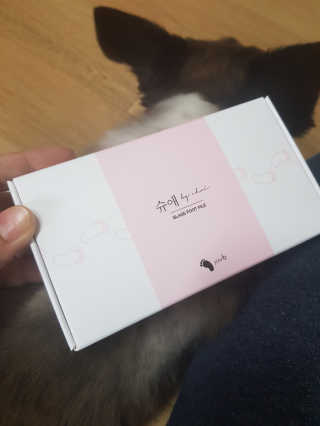 김푸들님이 올린 리뷰 사진 1