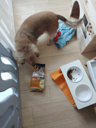 치토스님이 올린 리뷰 사진 2