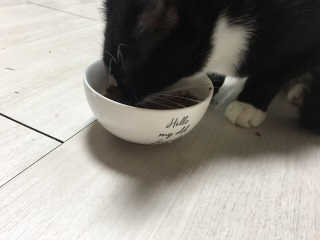 라멜님이 올린 리뷰 사진 2