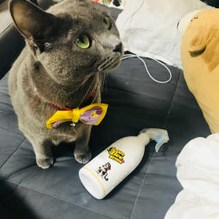 sdsgxhdhdjai님이 올린 리뷰 사진 2