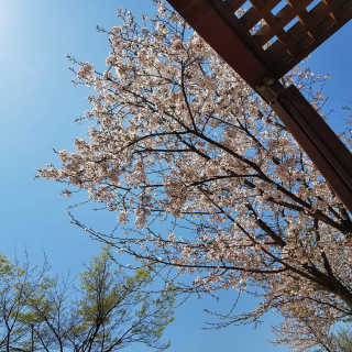 선유맘님이 올린 리뷰 사진 2