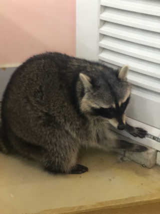신예지님이 올린 리뷰 사진 2