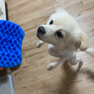 정혜원님이 올린 리뷰 사진 3