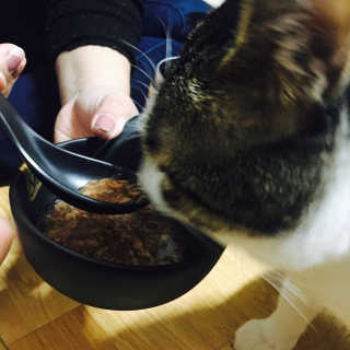 윤한솔님이 올린 리뷰 사진 3