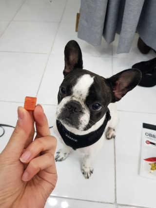 김민지님이 올린 리뷰 사진 2