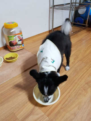 김민정님이 올린 리뷰 사진 2
