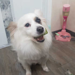 에일린님이 올린 리뷰 사진 1