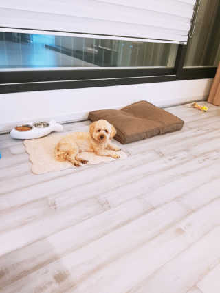 큐티윤님이 올린 리뷰 사진 2