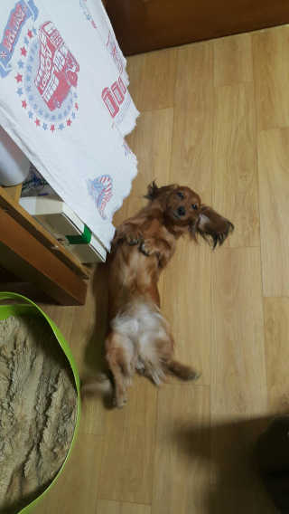 WooKyoungKim님이 올린 리뷰 사진 4