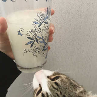 듀미니님이 올린 리뷰 사진 3