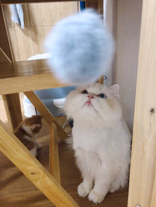 백여인님이 올린 리뷰 사진 1