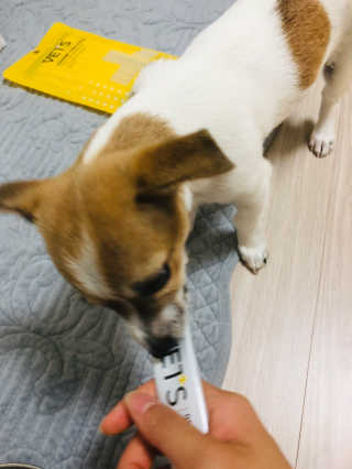 Lily님이 올린 리뷰 사진 2