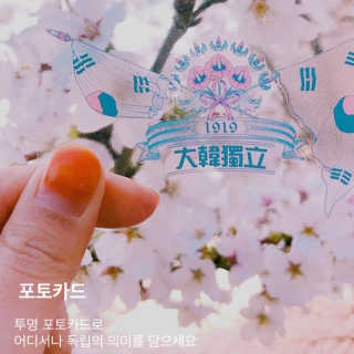 안공주님이 올린 리뷰 사진 2