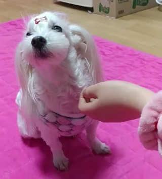 비커잠해피님이 올린 리뷰 사진 2