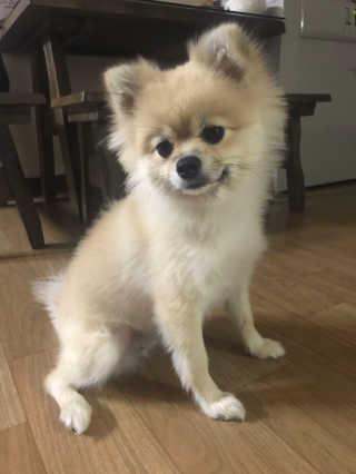 이뻐집시다님이 올린 리뷰 사진 3