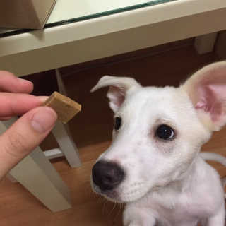 J님이 올린 리뷰 사진 3