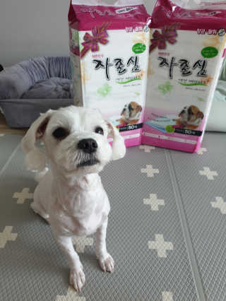 뽀야님이 올린 리뷰 사진 1
