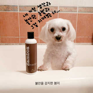silvermoon님이 올린 리뷰 사진 4